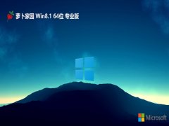 ܲ԰win8.1Ӣ64λv2024.11