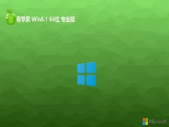 ƻϵͳwin8.1 64λҵרעv2024.12⼤